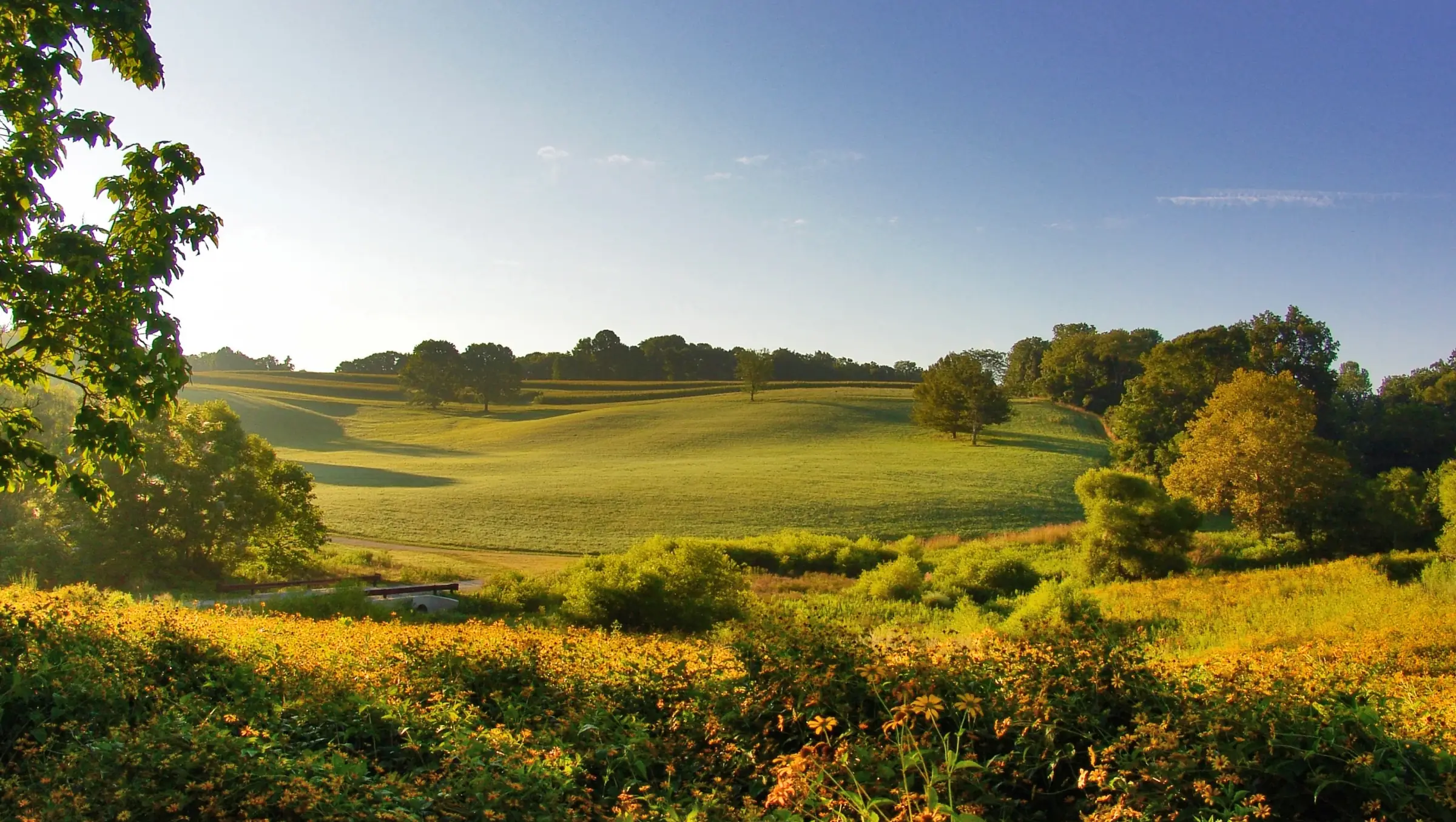 Natural Lands’ Stroud Preserve